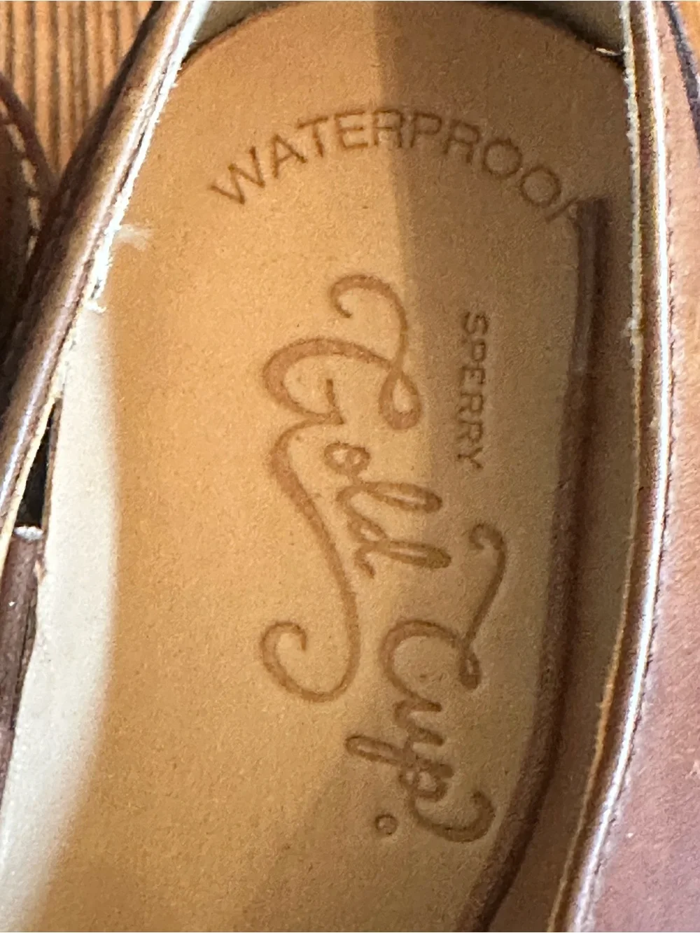 Sperry sperry’s timeless